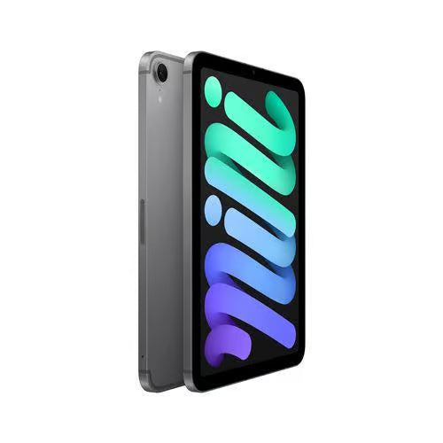 iPad mini 6 - Spacegrijs